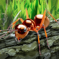 探索昆虫世界游戏安卓版