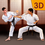 Shotokan Karate Ninja Fighting手机版