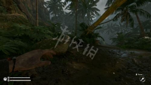 丛林地狱新手生存攻略 工具制造战斗打猎玩法建议