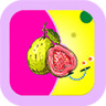 芭乐小猪幸福宝丝瓜草莓免费app